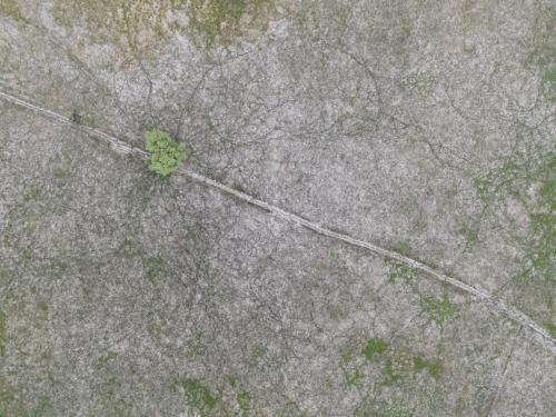 DJI_2875.JPG